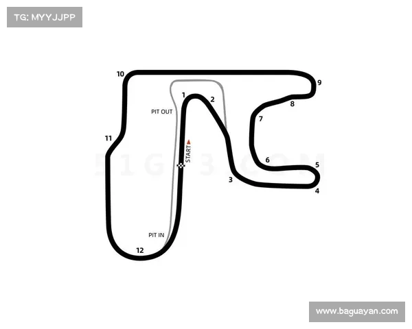 金港汽车园赛事金港赛车场赛道图