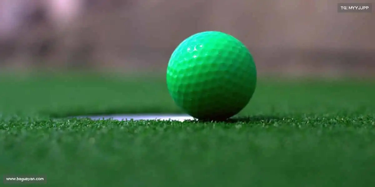 888贵宾会——跃动生命，共赴热血运动新征程🏀